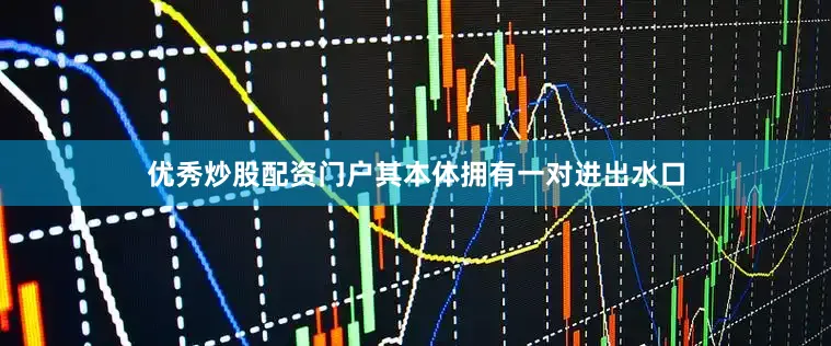 优秀炒股配资门户其本体拥有一对进出水口