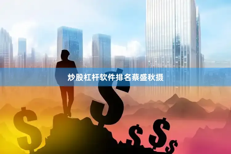 炒股杠杆软件排名蔡盛秋摄