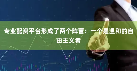 专业配资平台形成了两个阵营：一个是温和的自由主义者